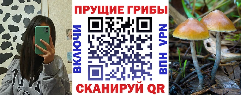 цена наркотик  Ахтырский  Псилоцибиновые грибы прущие грибы 